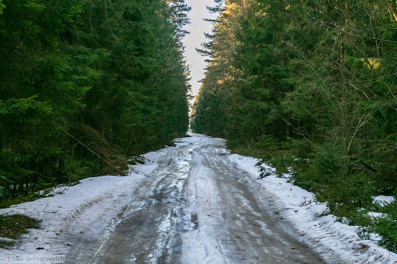 ������� ������