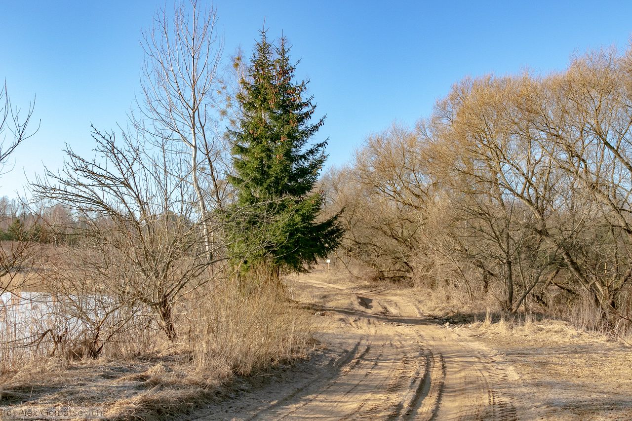 �������� ������