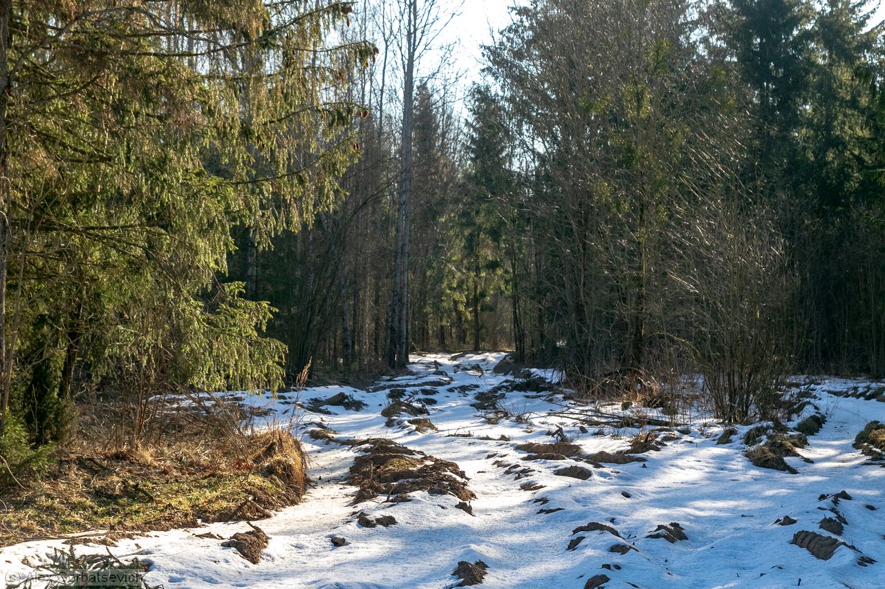 ������ � ���