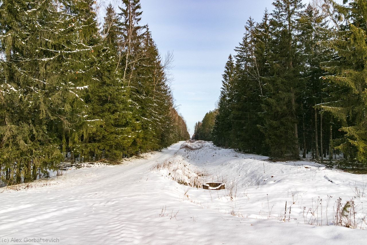 ��� ������ ���� �������