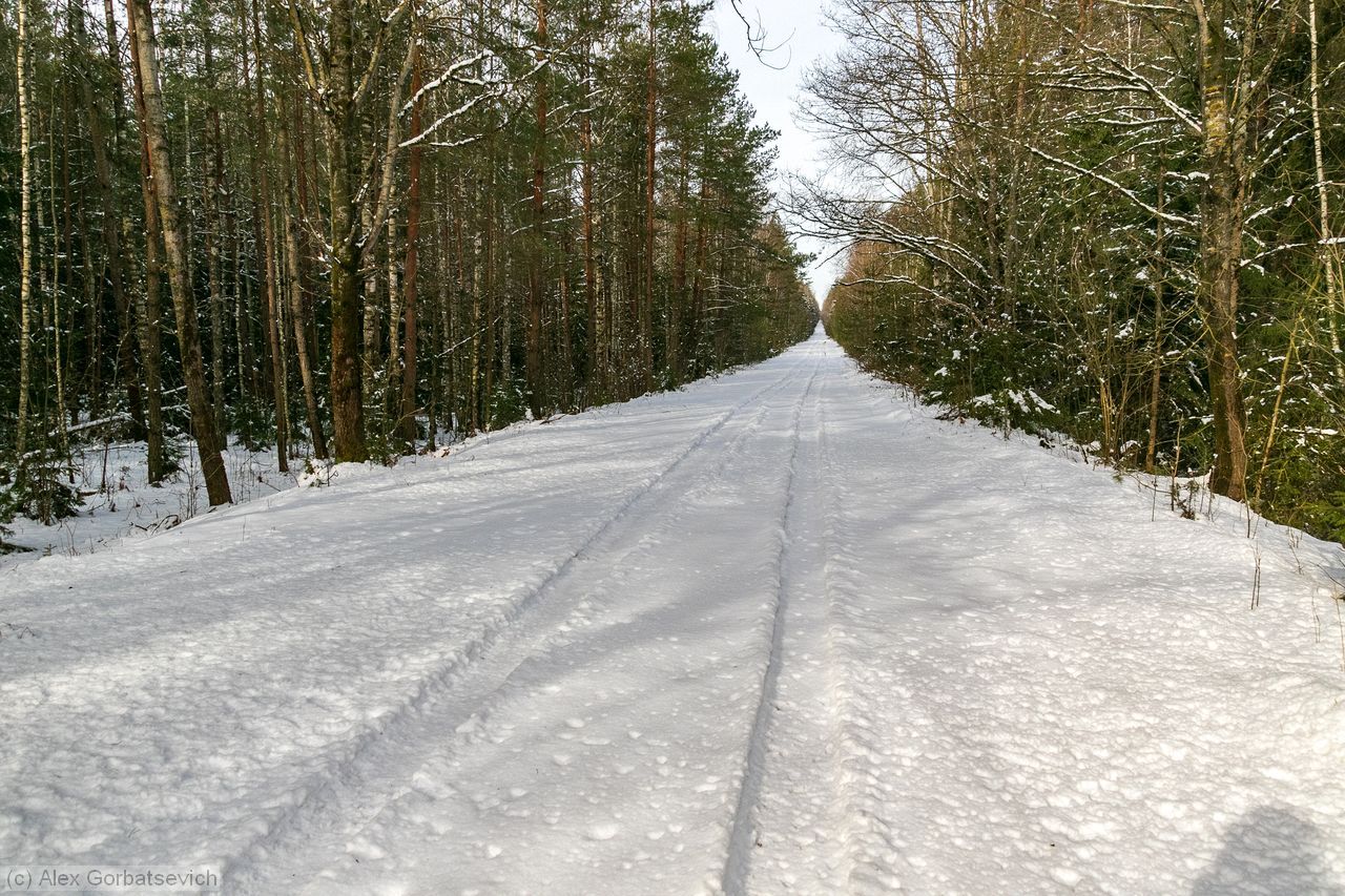 ������� � ����. �������. ������� ������