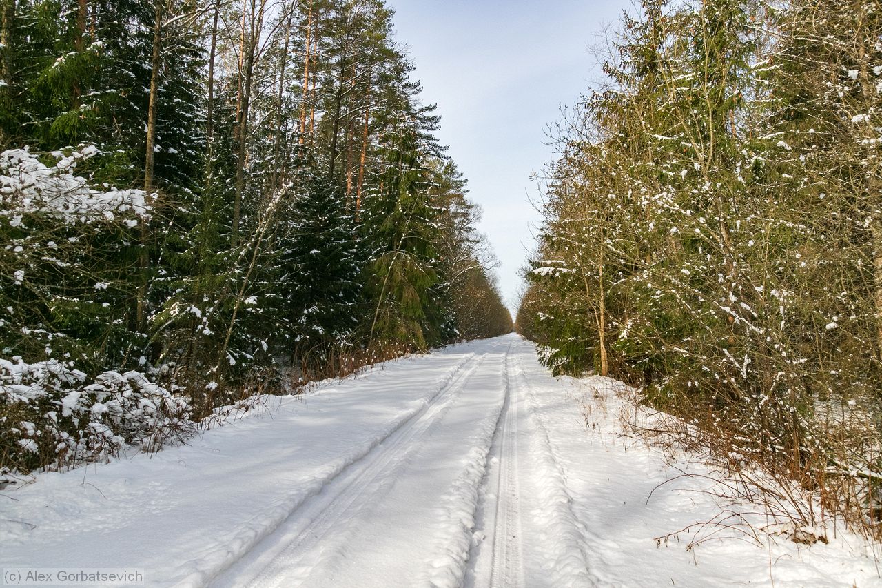 ����� ������� ��������