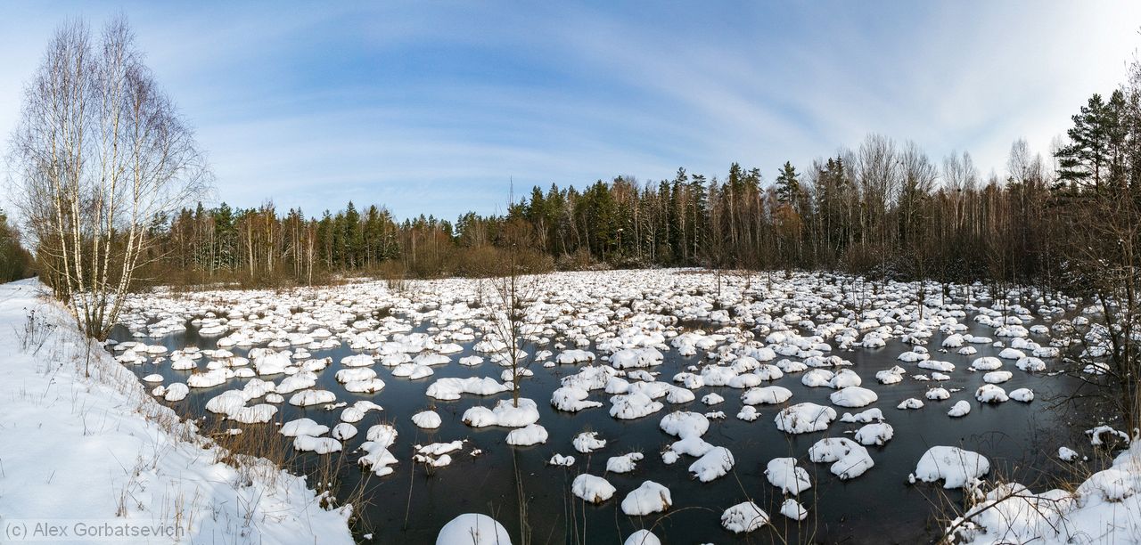 �������������������