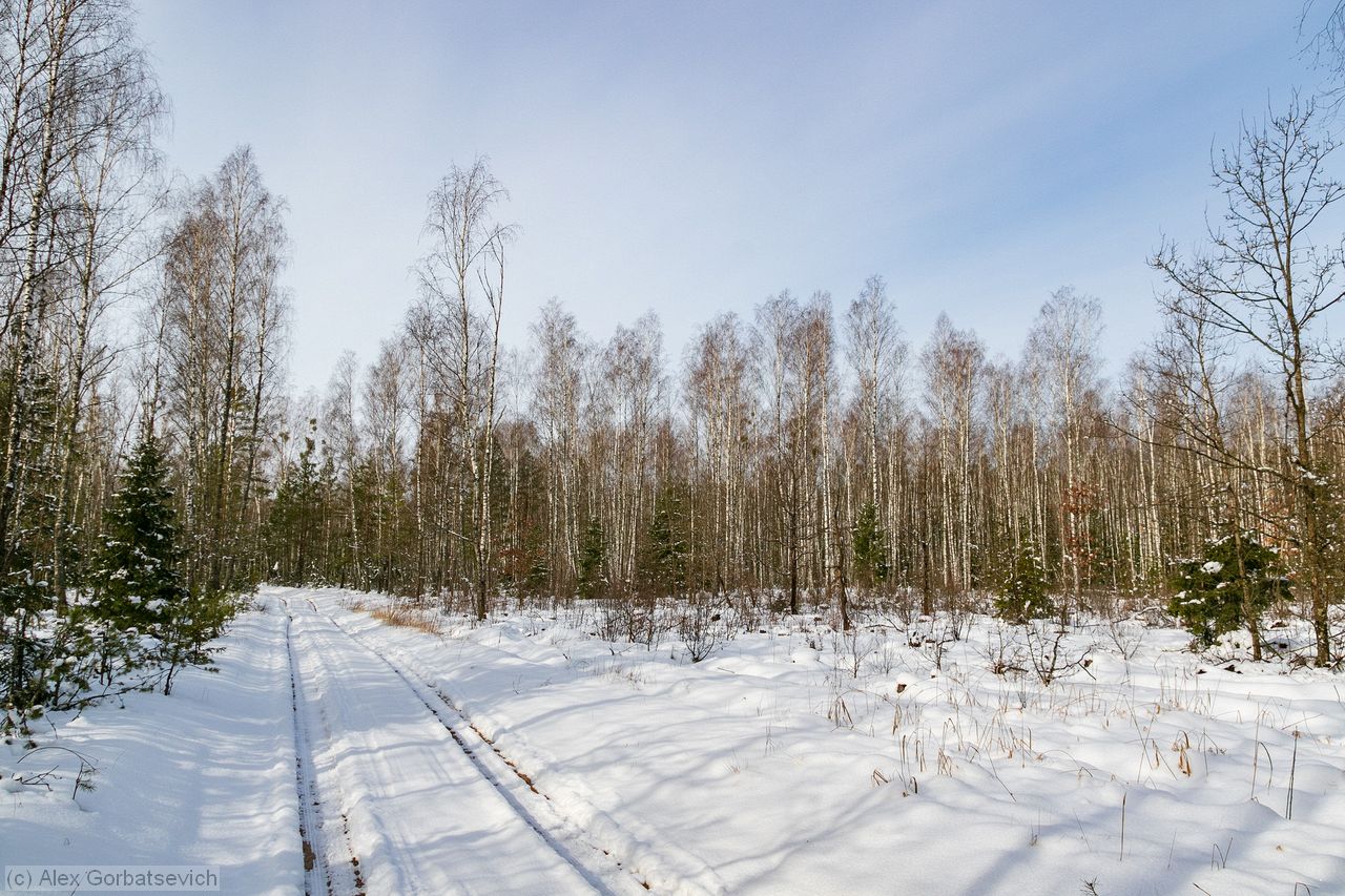 �� ������