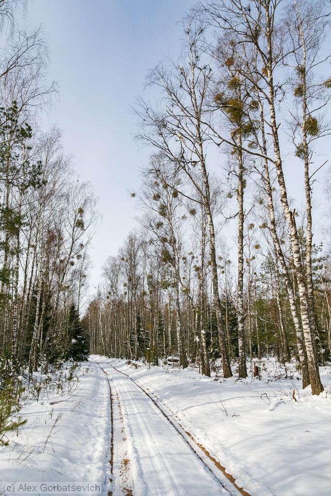 ��������� �����