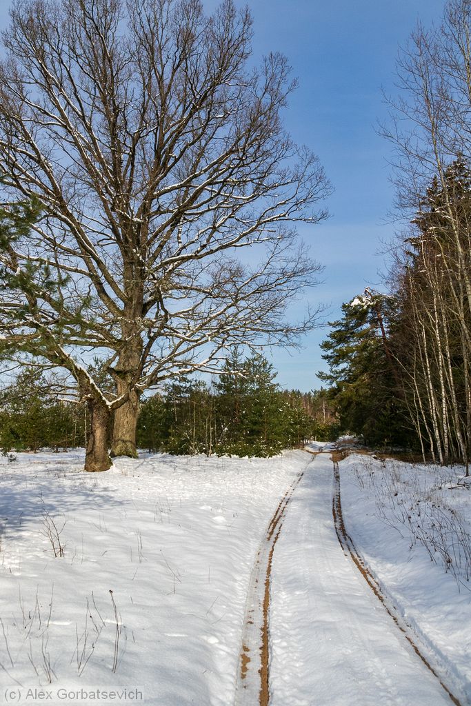 ��� �����