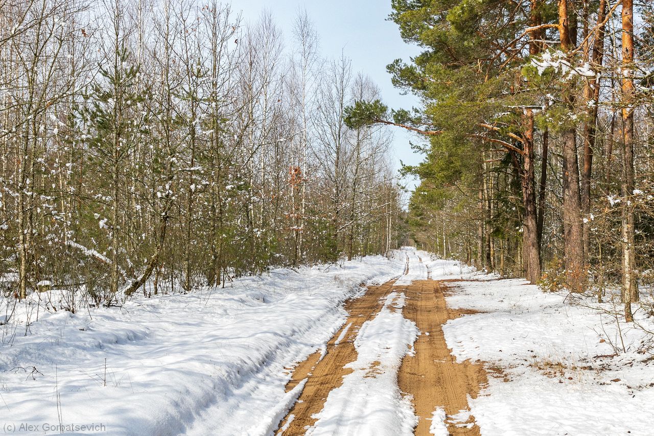 ������� �������