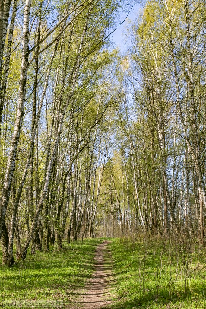 �������� � ��������� ����