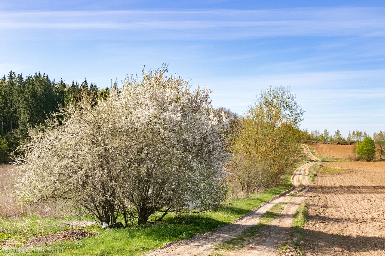 ������� ������