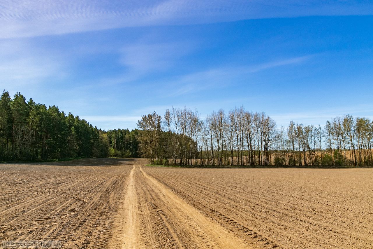 ������� ������