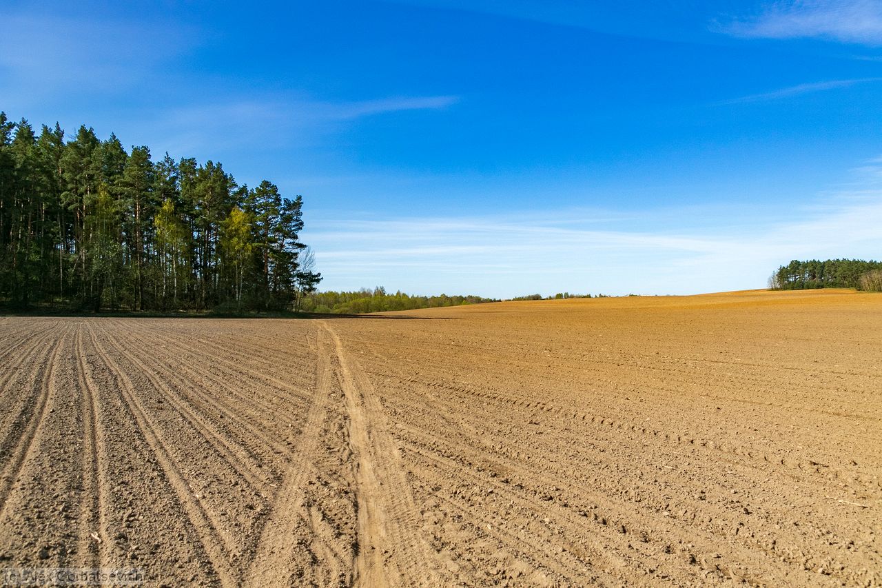 ����� ����