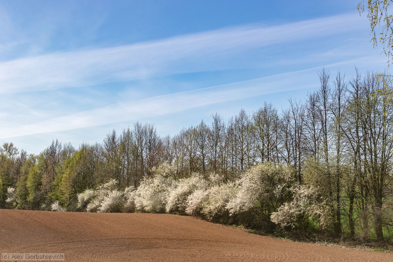 ����� ������