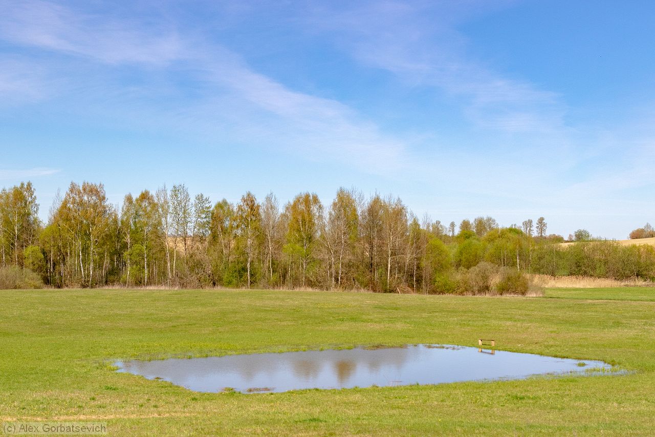 ������ ��� �����