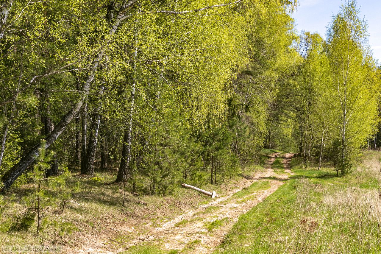 ����