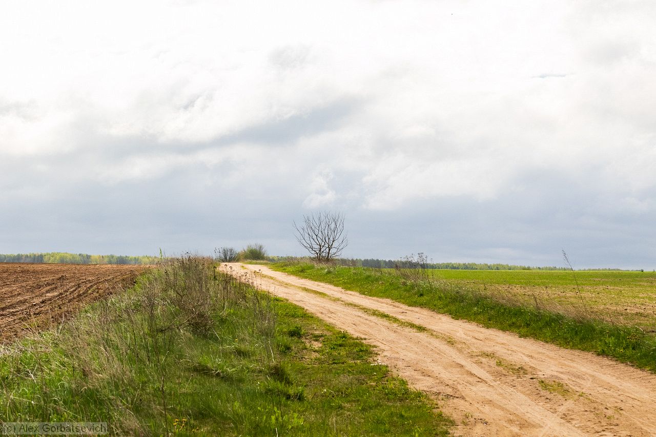 ������� ������