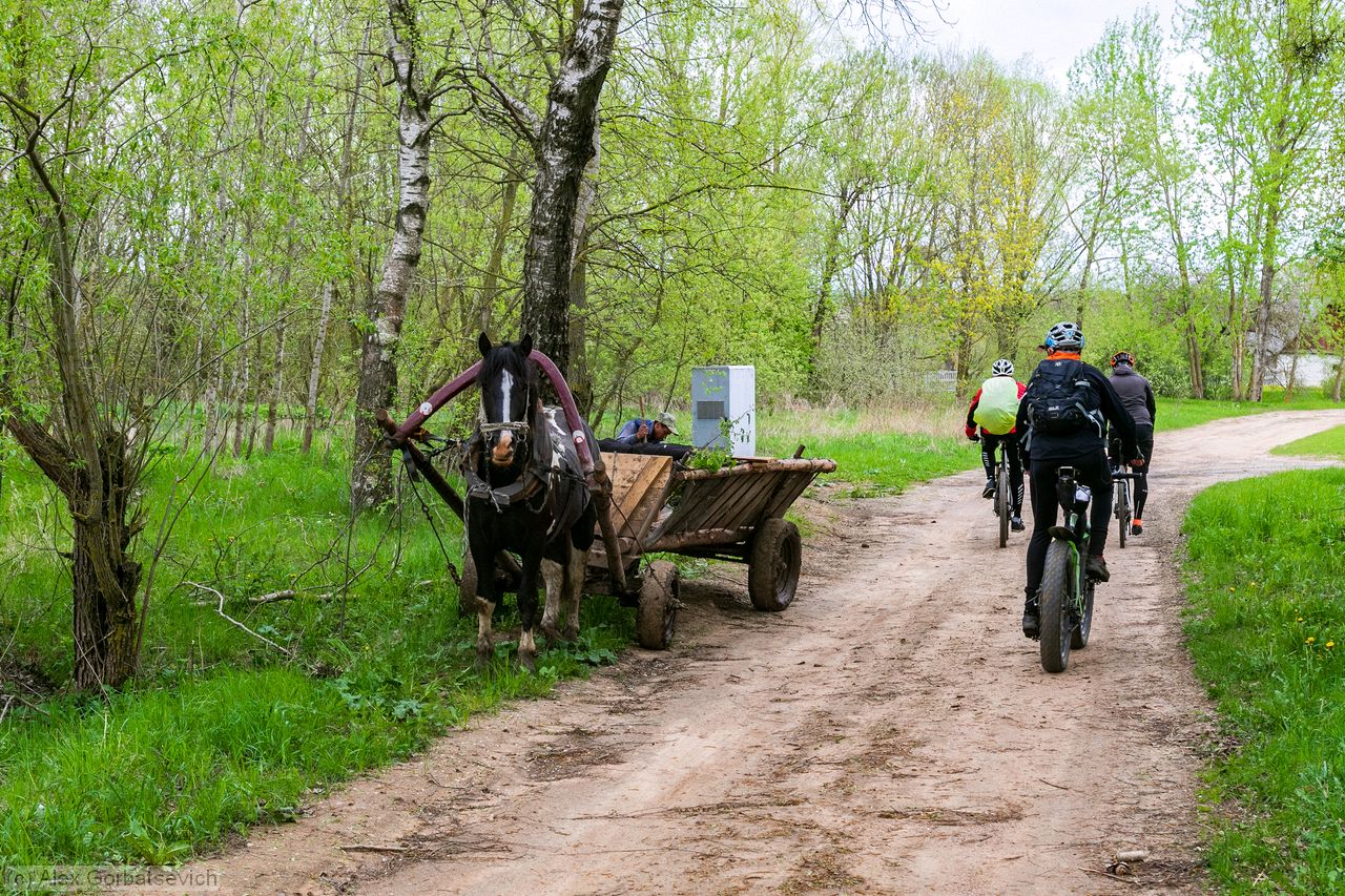 ����������� ������������ ��������