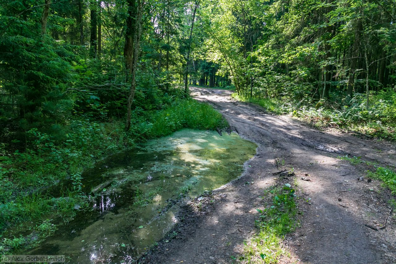 ����������� ����