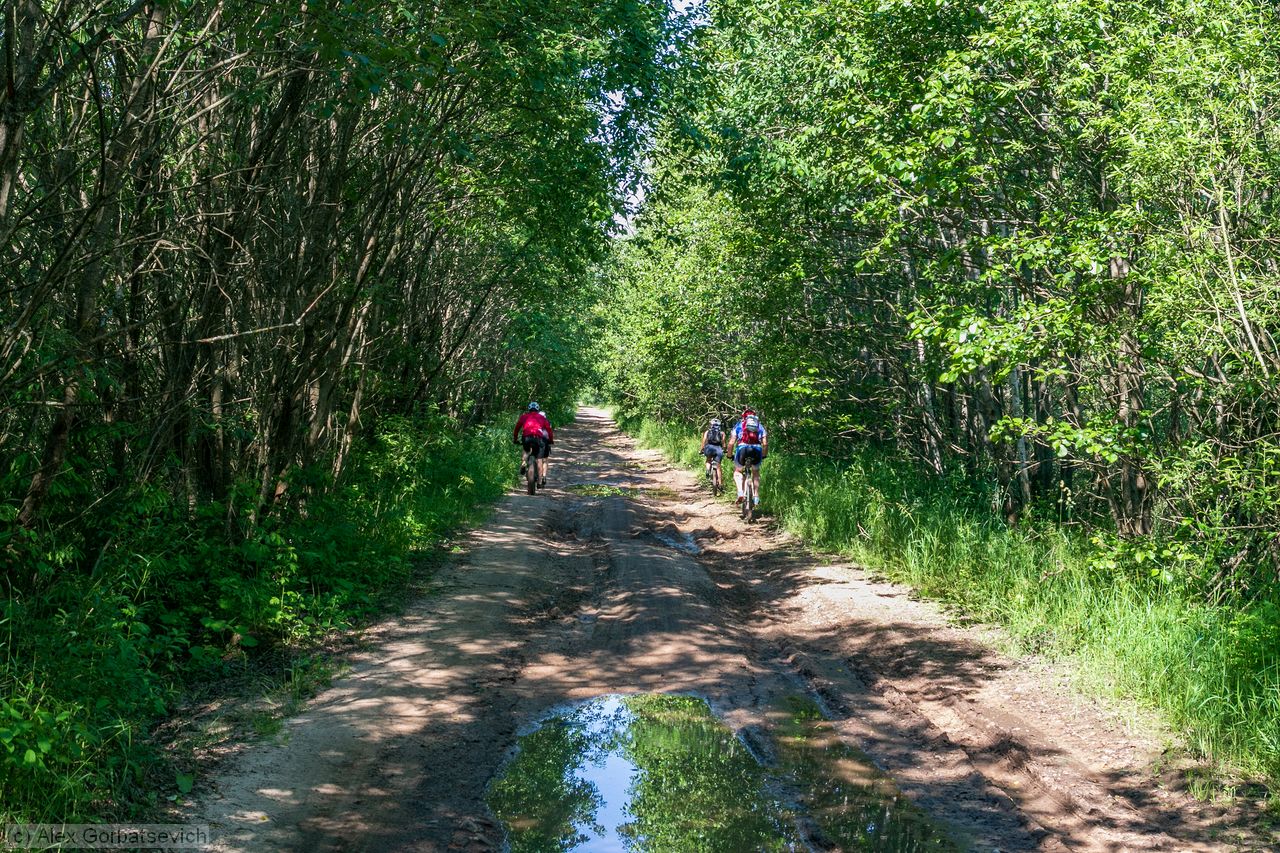 ������ �� ����