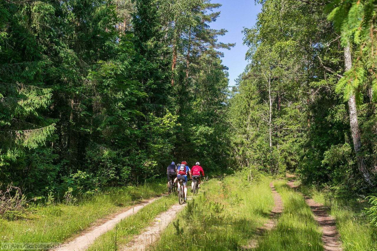 ����� ���