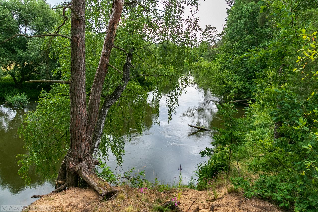 ������� ����� ��������