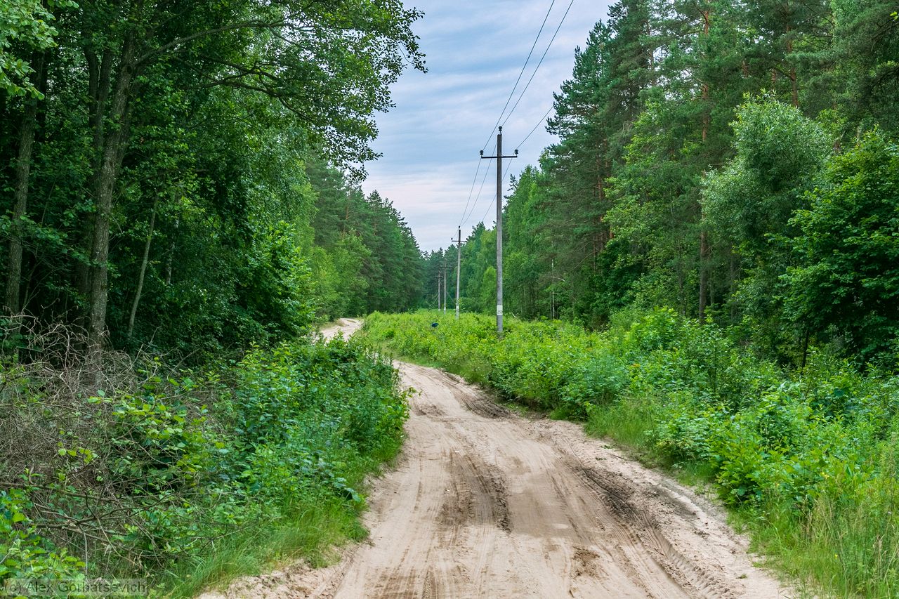 ������ ����� ���