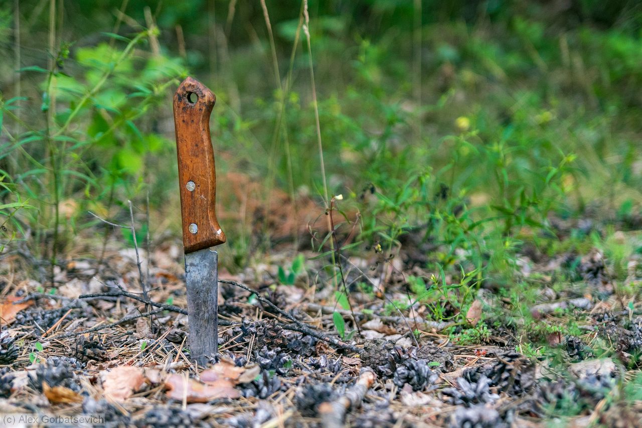 ����� �������