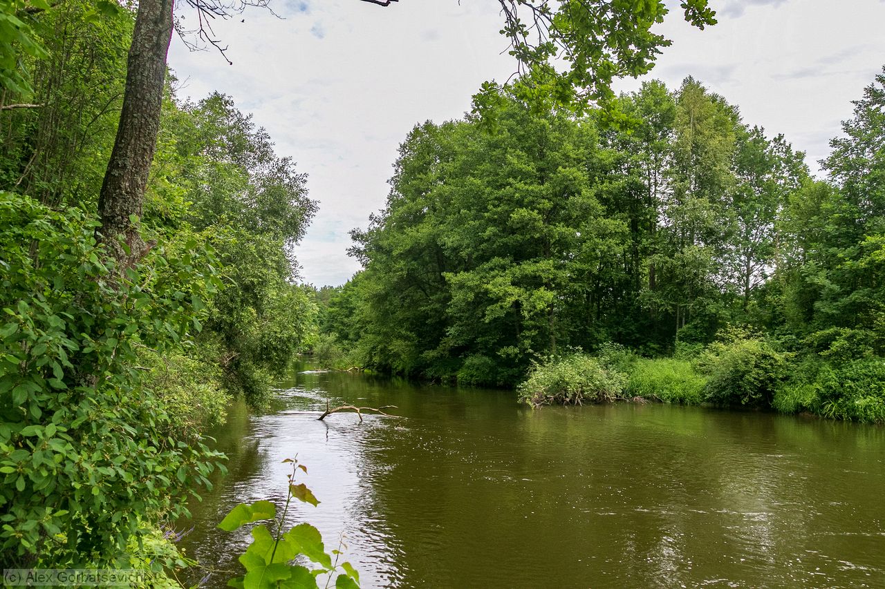 �. ��������