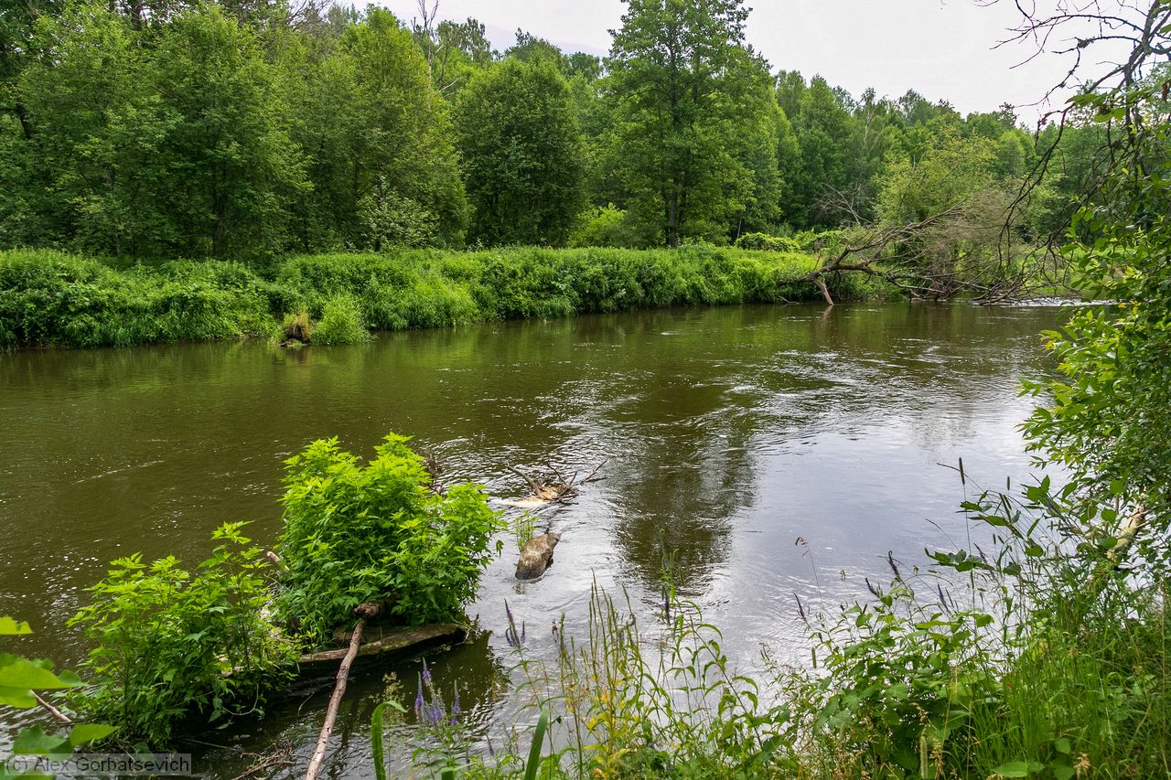 �. ��������