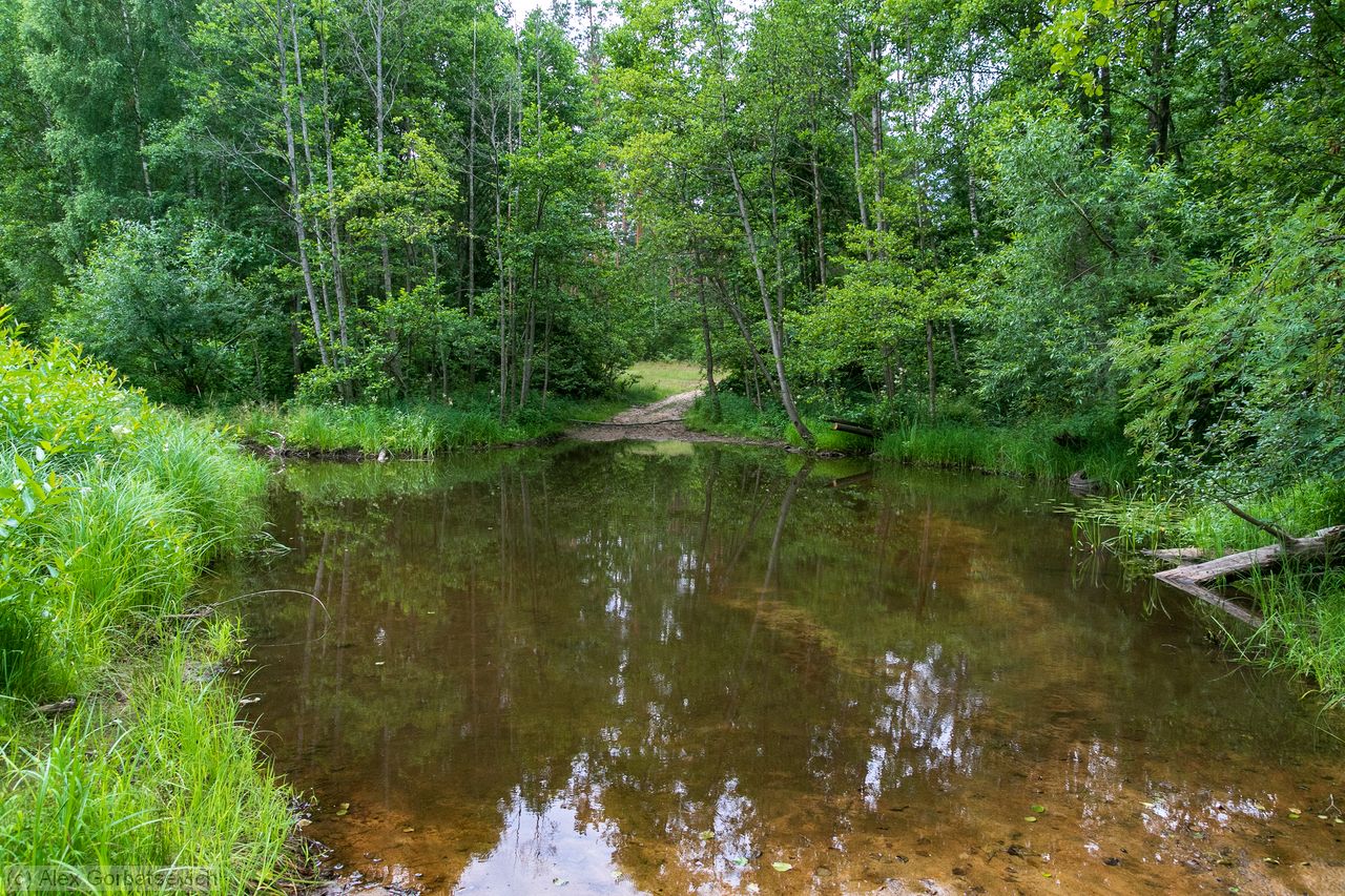 � ��� � ������