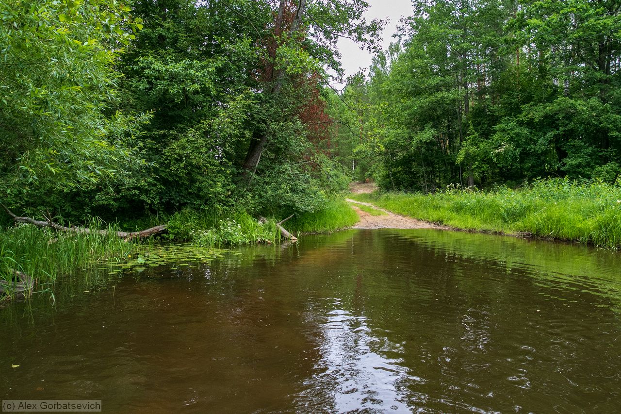 ���� �������