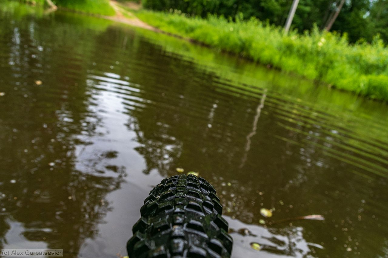 ����� ����