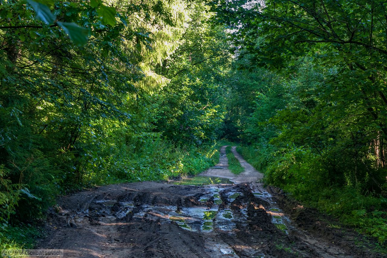 �������� ����������