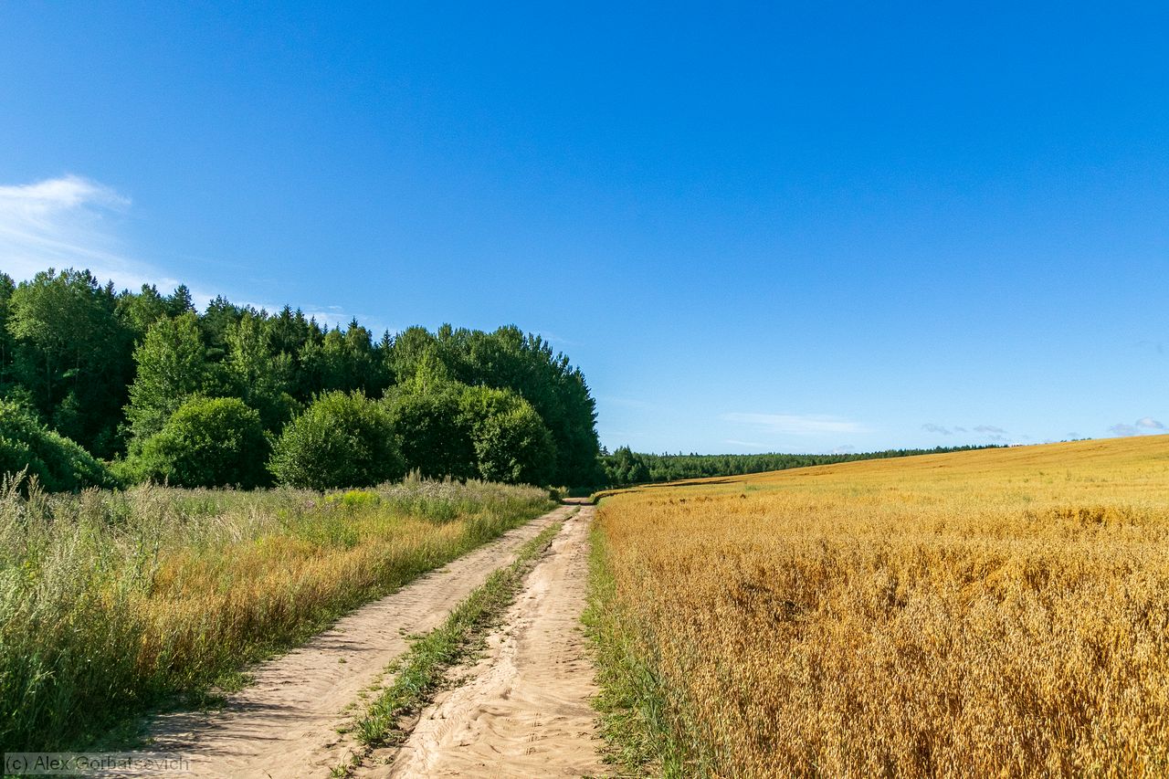 ����� ����