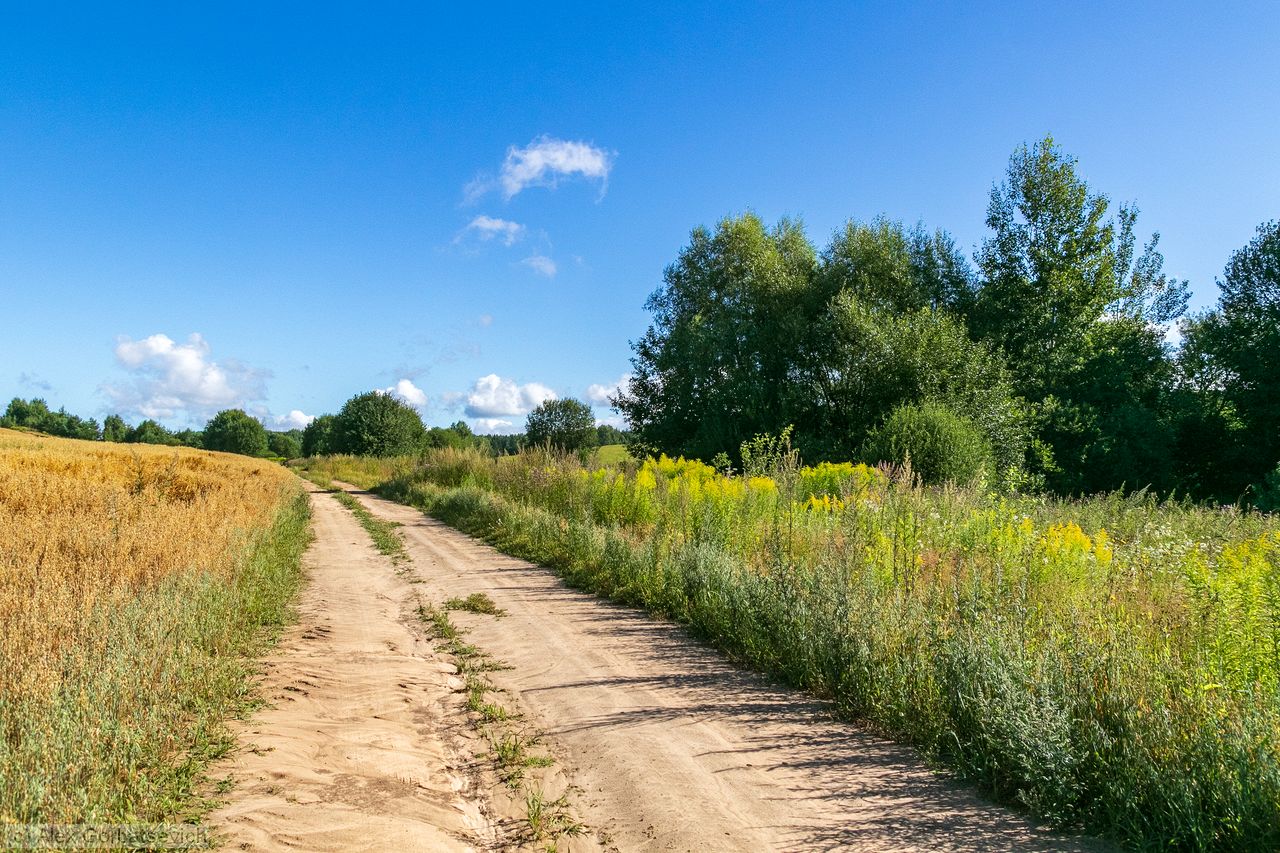 ����� ����