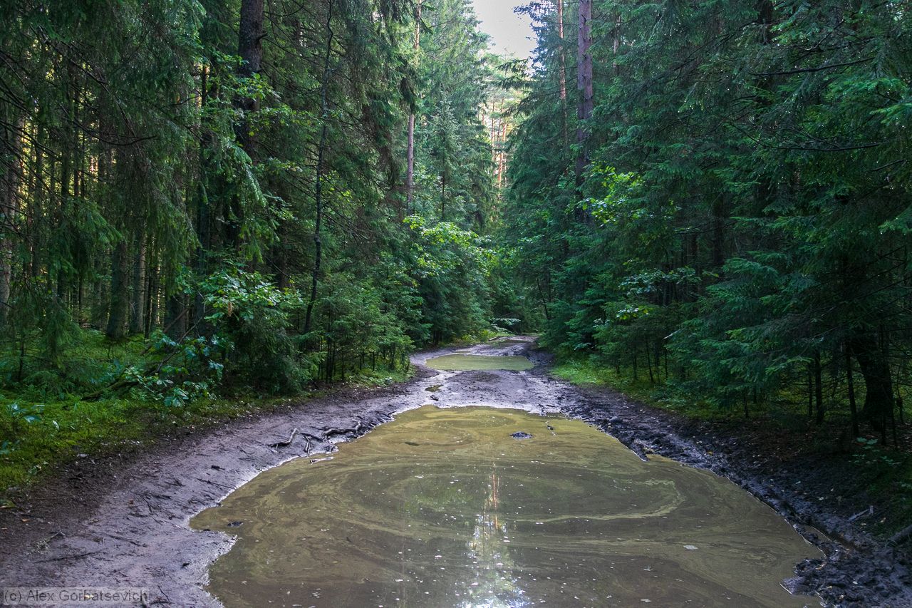 � ������ ��� �����