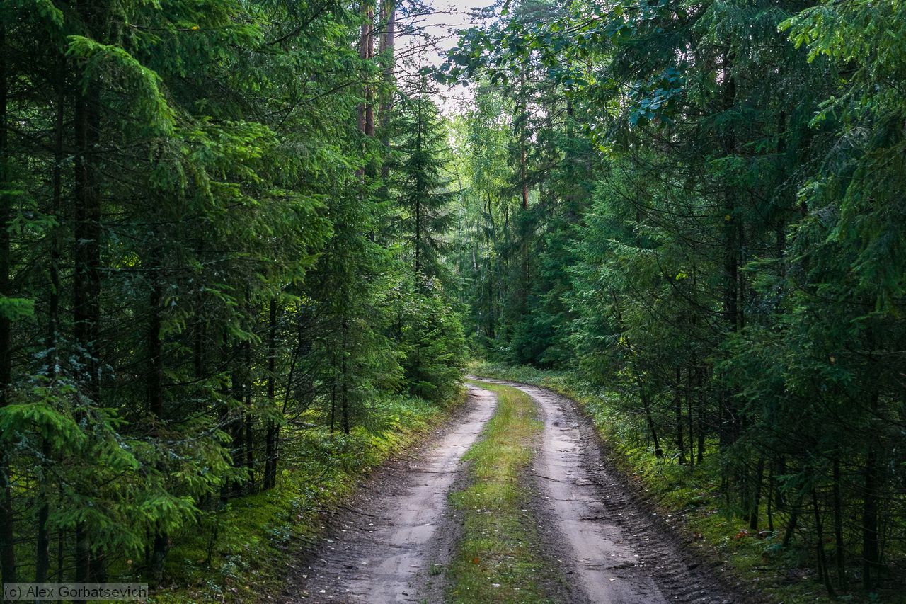 ��������� ������