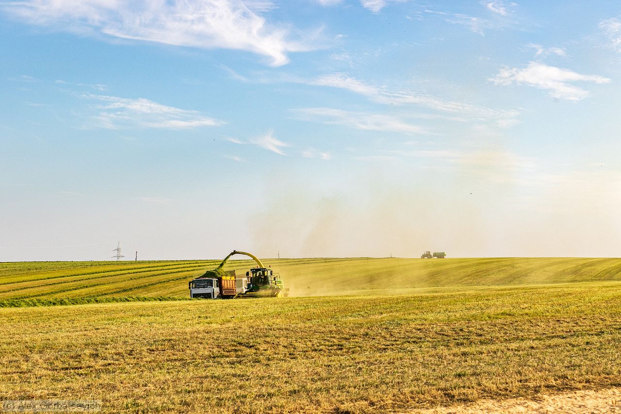 �� �������