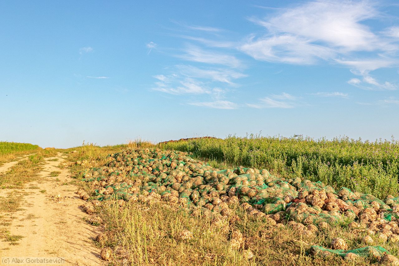 ���������� ������