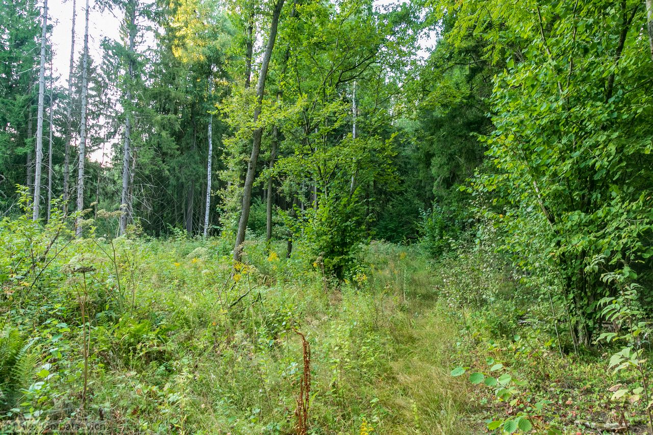 ����� ���