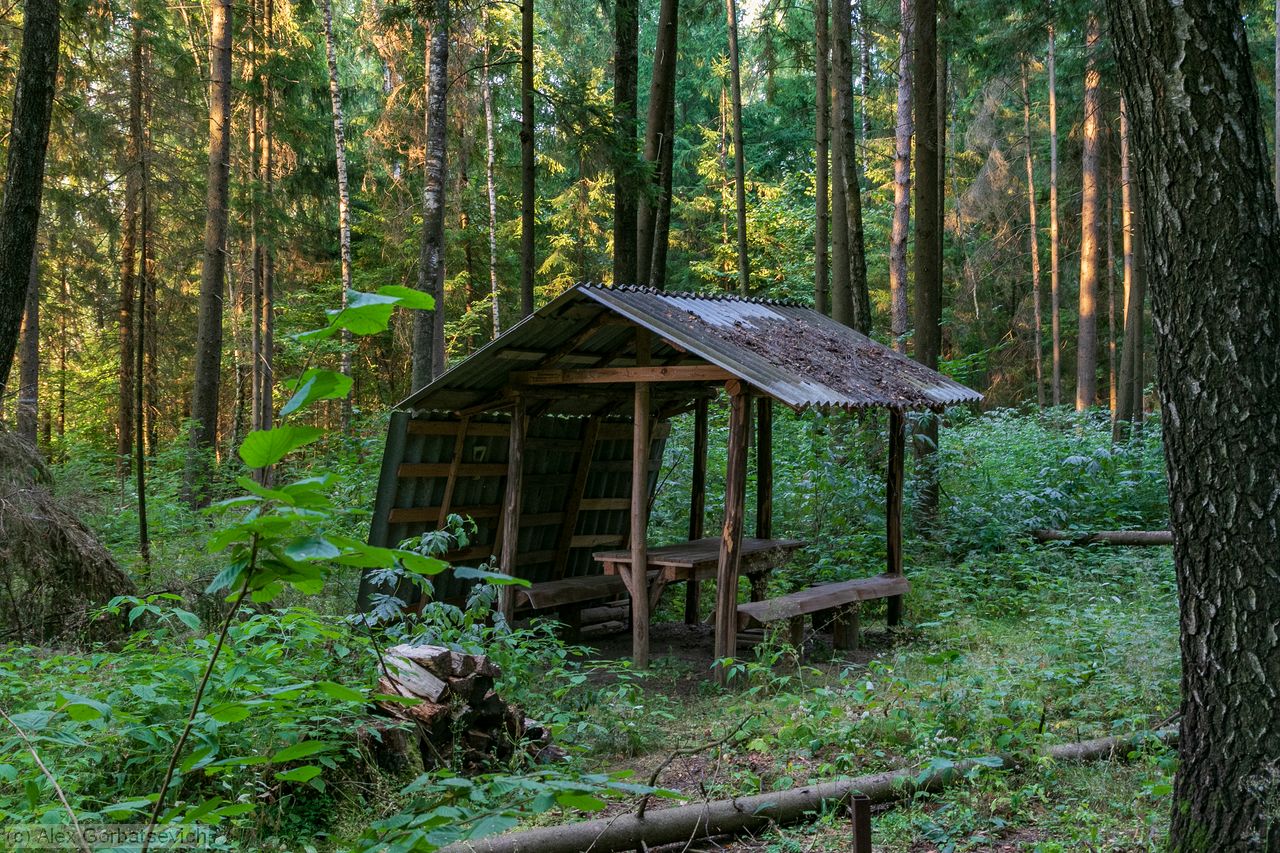 ����� ��� ��������� �������