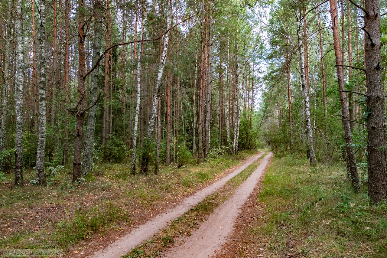 ������ �������