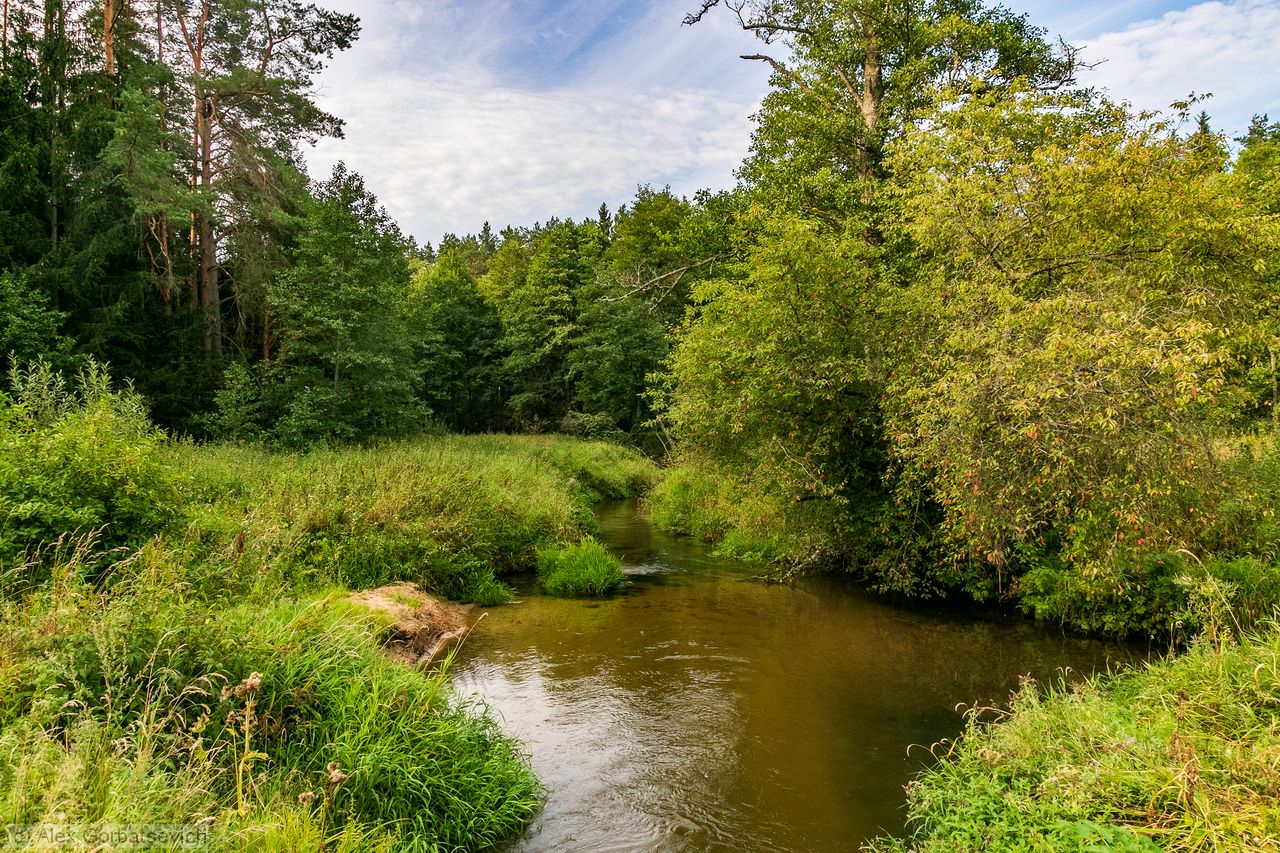 �. ������