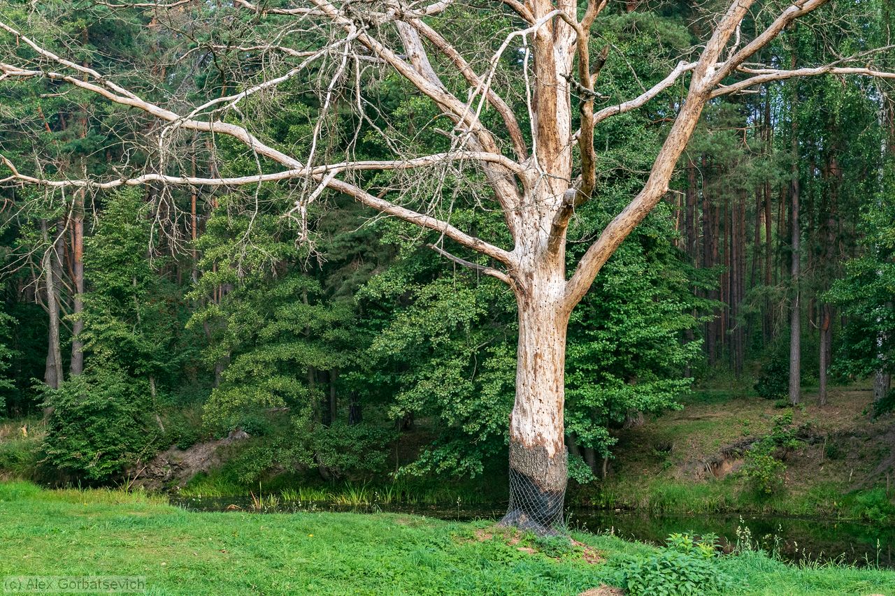 � �� ������ �� �������� �� ������