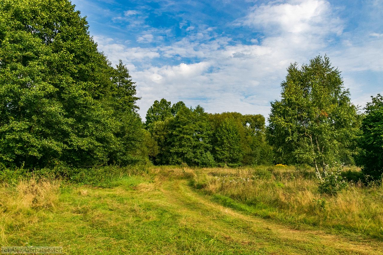 �� ����� ������