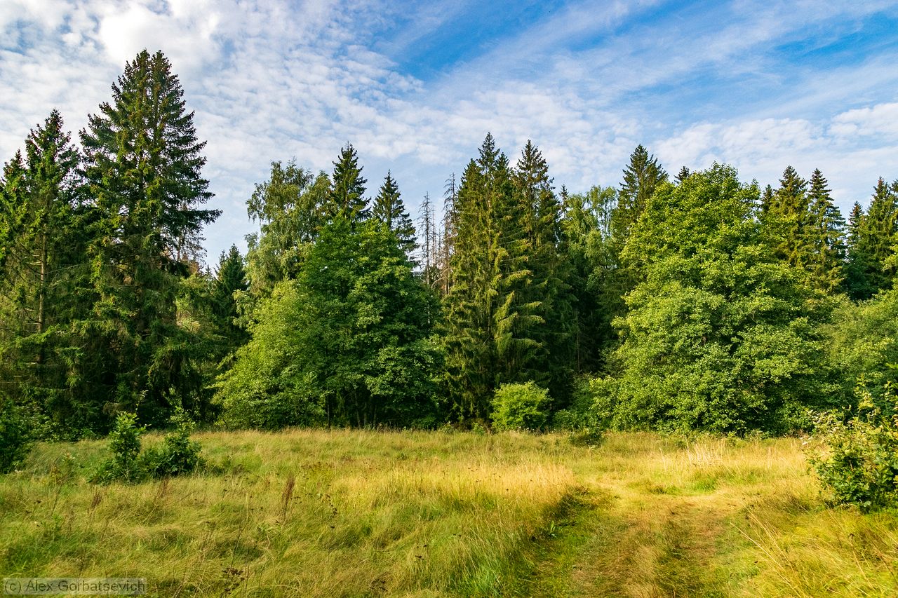 ��������� ���