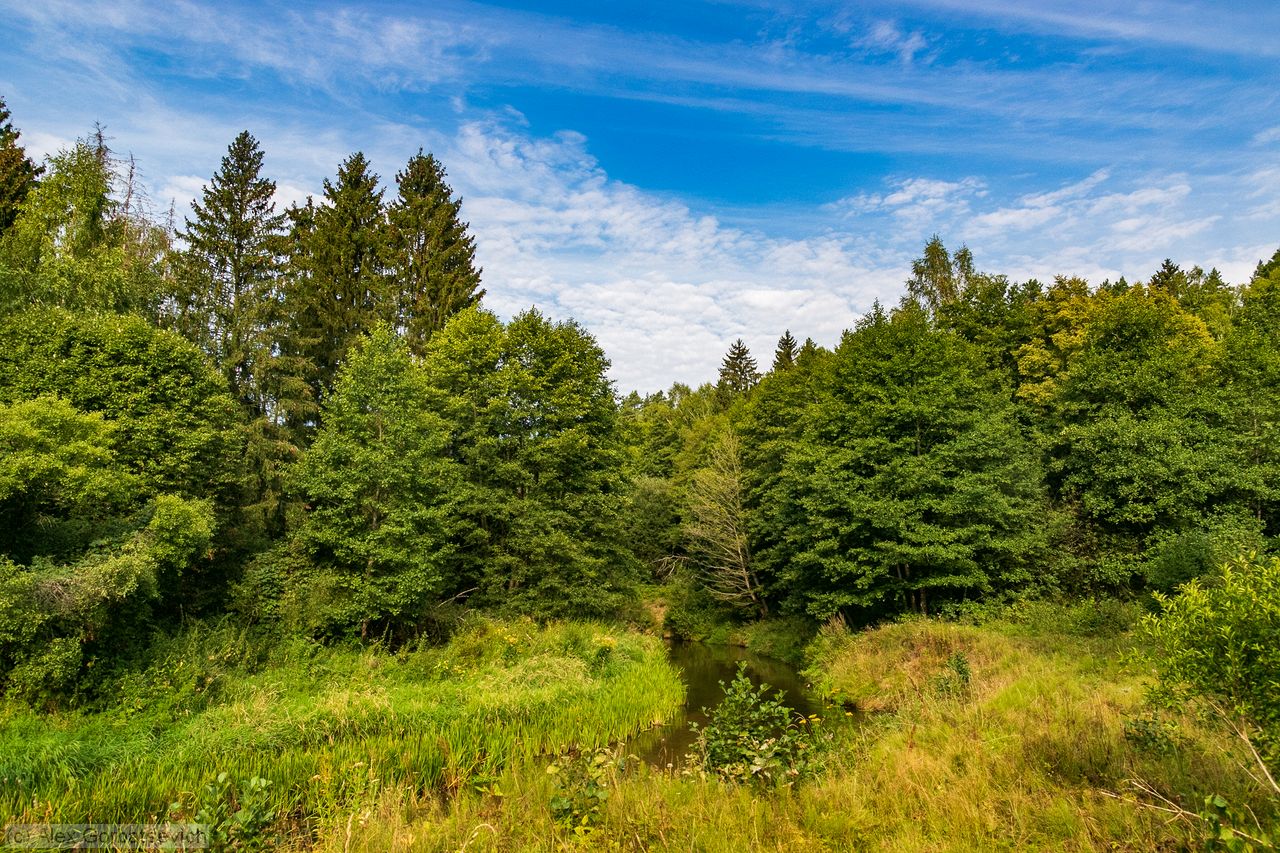 �. ������