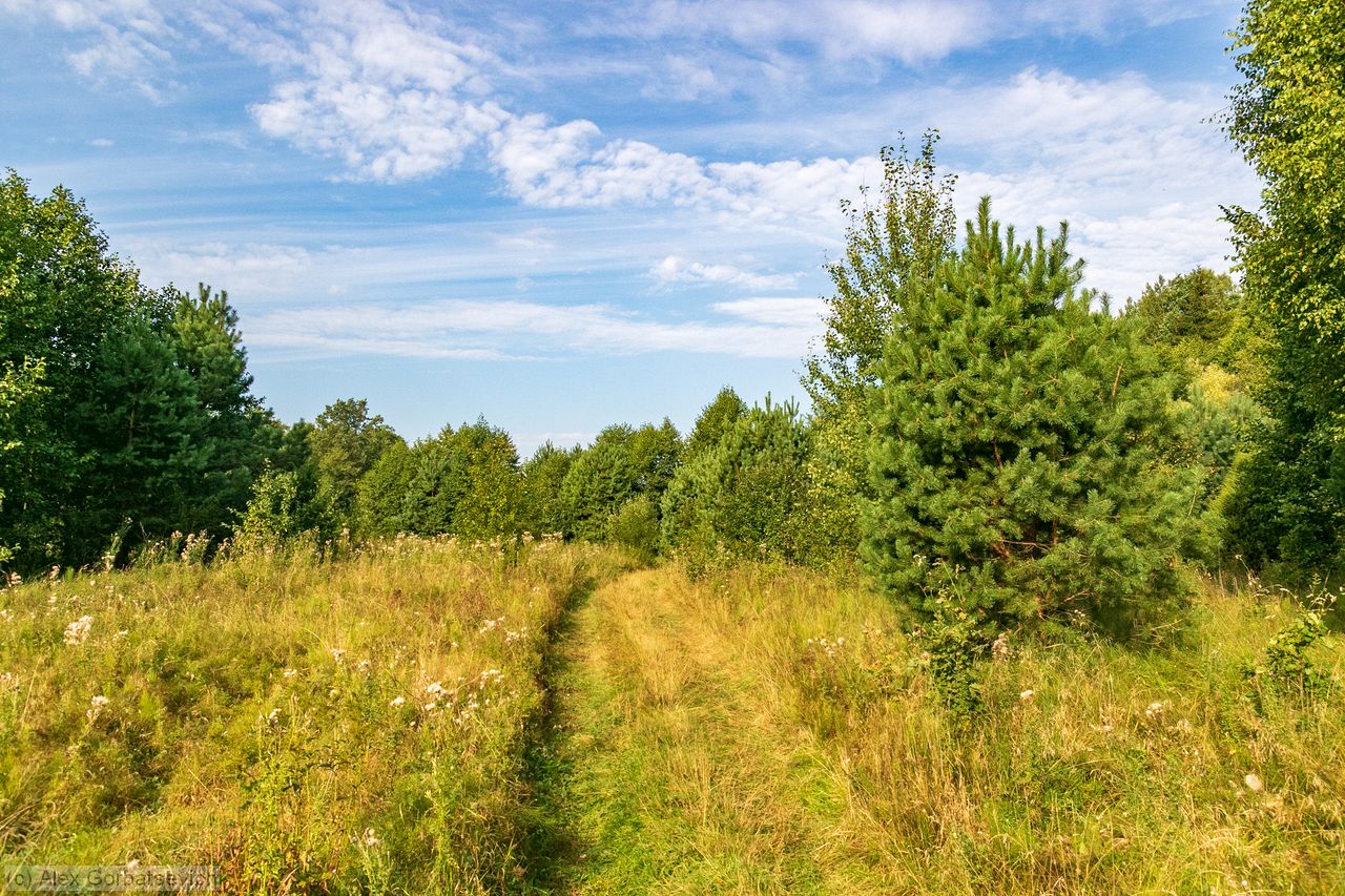 �� �����