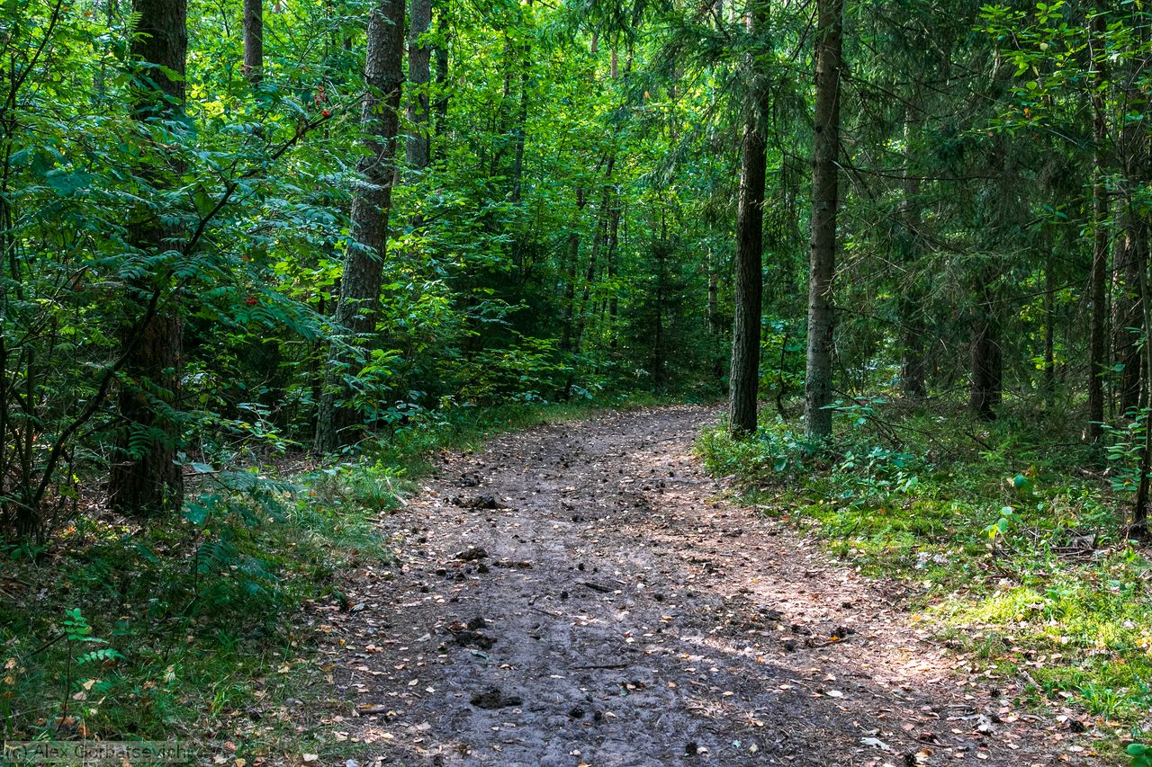 ����� � �������