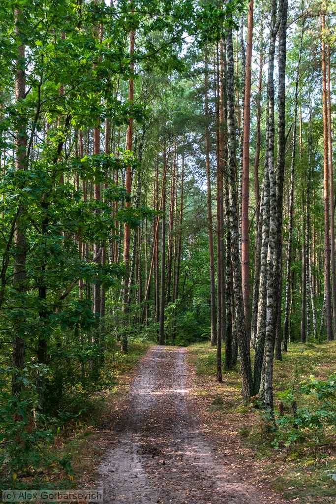 ������ � ����