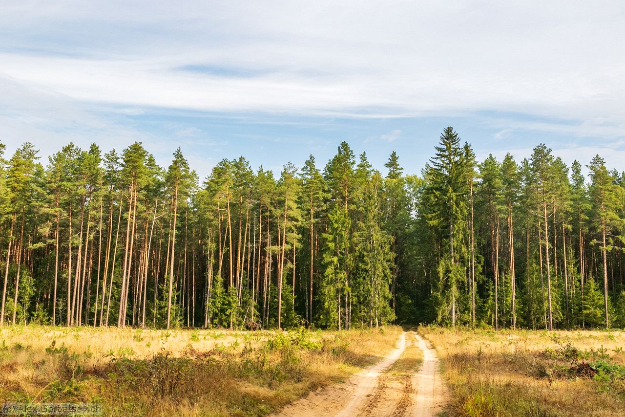 ������� ����� ���